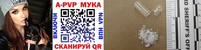 Альфа ПВП СК  Грязовец 