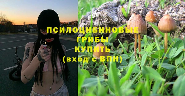 каннабис Алексин