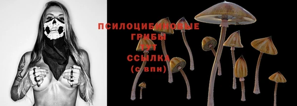 эйфоретик Алзамай