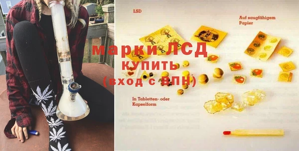 эйфоретик Алзамай