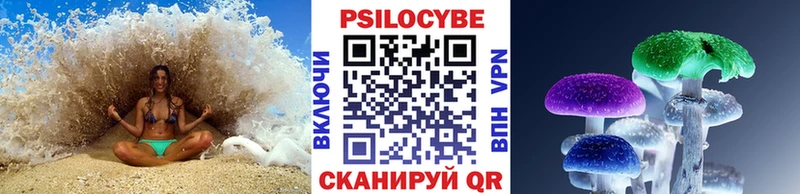 Псилоцибиновые грибы Psilocybine cubensis  Грязовец 