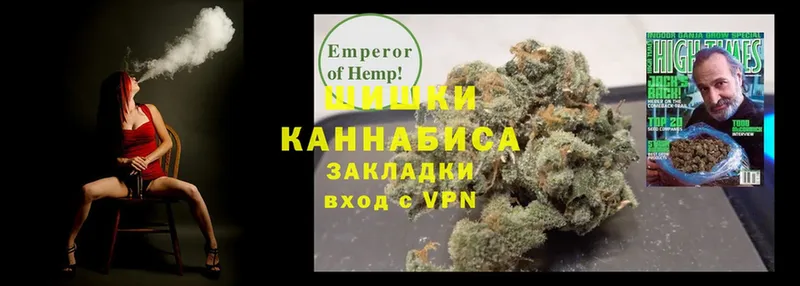 Шишки марихуана Amnesia  Грязовец 